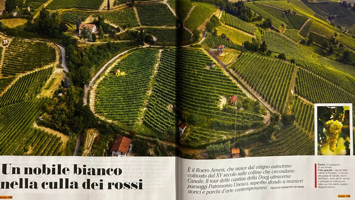 Una vista dei meravigliosi vigneti del Roero