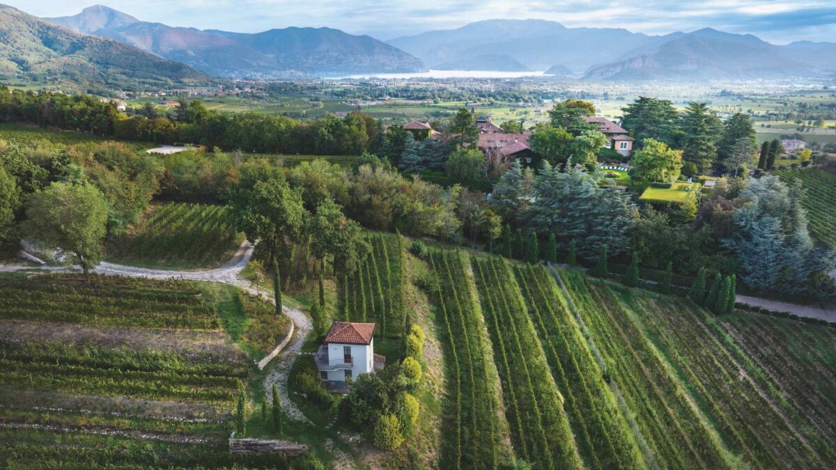 Vista lago di Iseo con vigneti