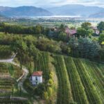 Vista lago di Iseo con vigneti